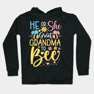 He or She Great Grandma to Bee Hoodie